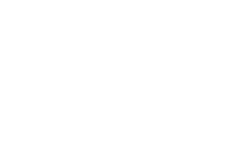 Direct Home Service Logo White