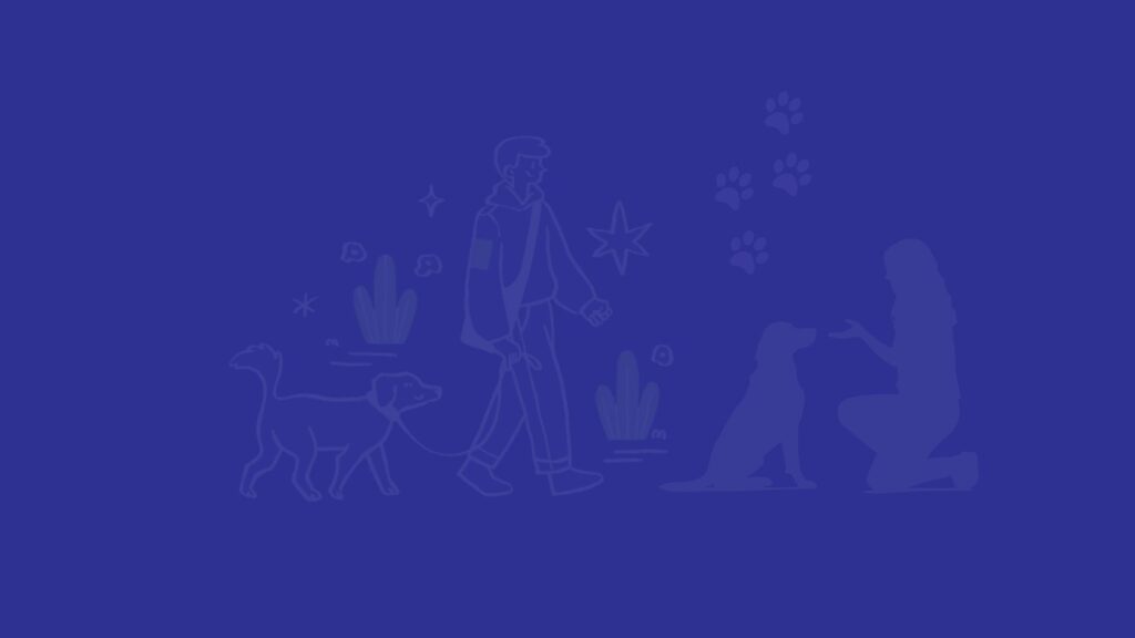 Dog Walking and Pet Sitting bg