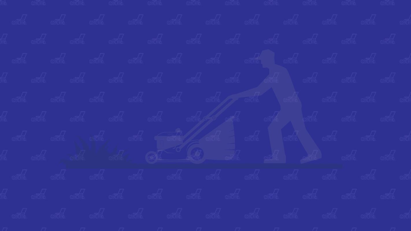 Blog 3 Lawn Care Business Software – A Guide for Lawn Care Specialists