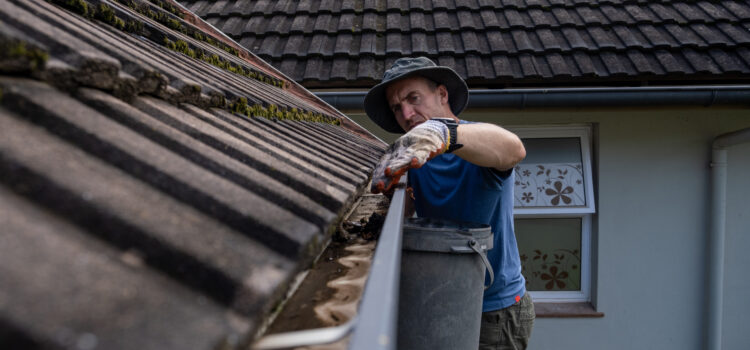 Gutter Cleaning