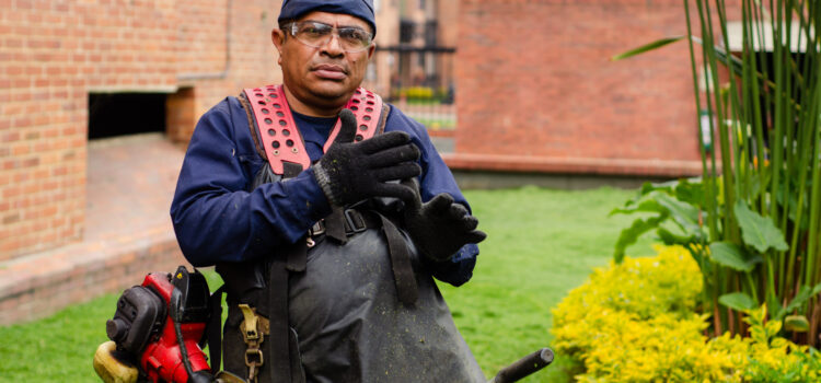 Lawn Care service